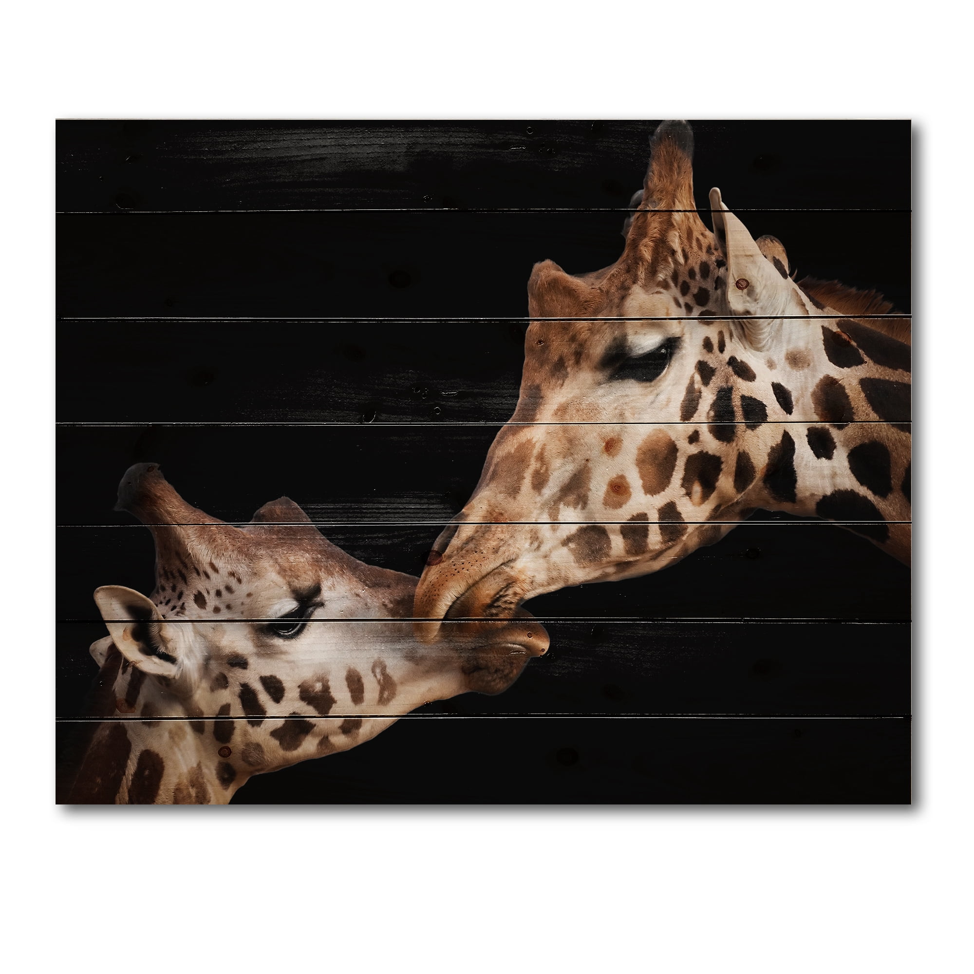 Designart 'Close UP Of Two Giraffes Kissing II' Farmhouse Print on Natural Pine Wood