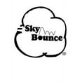 thumbnail image 3 of Sky Bounce Color Rubber Handballs for Recreational Handball, Stickball, Racquetball, Catch, Fetch, and Many More Games, 2 1/4-Inch, Yellow, 12 Count, 3 of 4