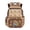 School Capybara Star Print, variant on Bulopur Axolotl Kids Backpack for Girls Cute School Bag for Kids Lightweight Multi-Pocket Book Bag 17 Inch for Back to School