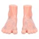 thumbnail image 1 of 1 paire de pieds humains, modèle de point d'acupuncture, réflexologie plantaire, modèle de massage des points d'acupuncture, 1 of 4