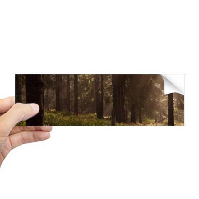 Dark Forestry Science Nature Paysage Rectangle Pare-Chocs Autocollant Carnet Fenêtre Autocollant