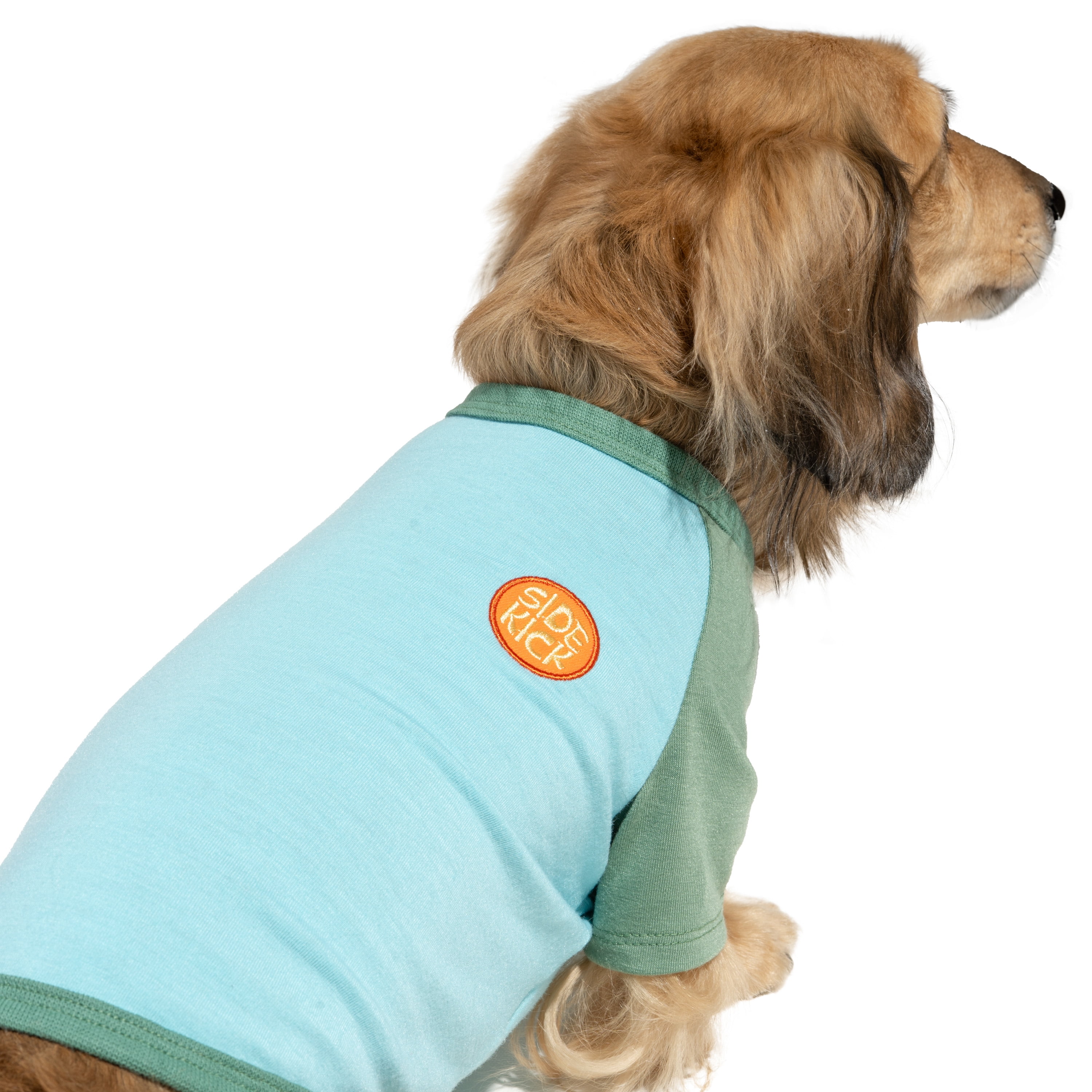 Oodles Green Side Kick Spring Raglan Dog T-Shirt, Medium