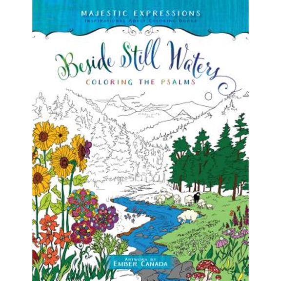 Pre-Owned Beside Still Waters: Coloring the Psalms (Paperback) 1424551382 9781424551385