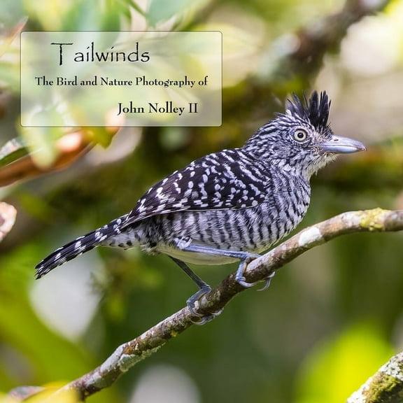 Tailwinds: The Bird and Nature Photography of John Nolley II, (Paperback)