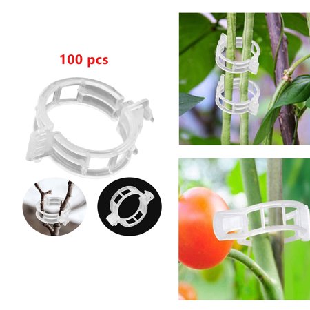Aggxpf 100Pcs Plant Support Clips, Tomato Clips for Trellises, Vegetables Plants Support Clips for Trellis Twine
