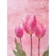 thumbnail image 2 of Lewis, Sheldon 25x32 White Modern Wood Framed Museum Art Print Titled - Tulip Love 1, 2 of 4
