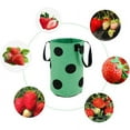 thumbnail image 3 of ZOELNIC Strawberry Planting Pot Container Plant Grow Bags Home Hanging Strawberry Planter Growing Bags Reusable Non-woven Fabric Black, 3 of 12