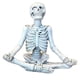 thumbnail image 1 of Meditating Skeleton Flower Pot Skull Plants Pot Halloween Decorative Garden Flower Pot Sculpture B, 1 of 5