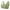 Z1-Green, variant on Daisy Bras For Older Women Front Closure Bras Comfort Wireless Cotton Bras For Women Comfort Bras For Elderly Soft Comfortable Gather Bra Womens Bras No Underwire