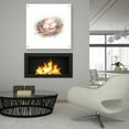thumbnail image 4 of Epic Art "Bird Life IV" by Ethan Harper, Acrylic Glass Wall Art, 36"x36", 4 of 7