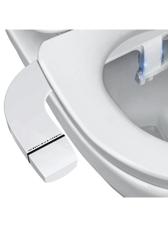 Bidets in Toilets and Bidets