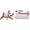 Red, variant on Family Quote with Branches Vinyl Wall Decals Sticker, 32x12-Inch Red