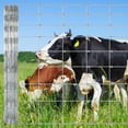 thumbnail image 1 of Memoryfield 5ft x 164ft Galvanized Livestock Fence, Wire Cattle Farm Fence for Cattle, Goat Yard, 1 of 8