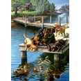 thumbnail image 2 of SUNSOUT INC - Summer School - 500 pc Large Pieces Jigsaw Puzzle by Artist: James Meger - Finished Size 19.25" x 26.625" Animals - MPN# 28497, 2 of 6