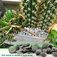 thumbnail image 2 of 7LB River Rocks Mexican Beach Pebbles for Garden Landscape Plants Paving Grey (1Inch), 2 of 9