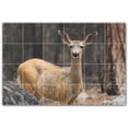 thumbnail image 1 of Picture-Tiles.com: Deer Ceramic Tile Wall Mural WAL500473-64M. 36"W x 24"H using (24) 6" x 6" Ceramic Tiles-Satin Finish, 1 of 3