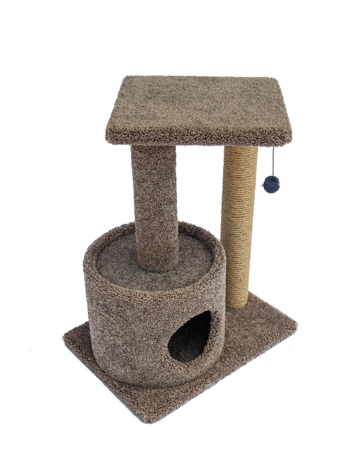 Wonder Gratte un Salon