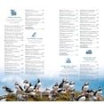 thumbnail image 6 of Andrea Bergmann Naturzeit Vanlife: Wilde Küsten: Roadtrip durch Normandie, Bretagne (Paperback), 6 of 6