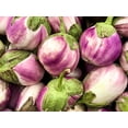 100 Semillas De Berenjena Blanca (Solanum Melongena) - Huevo Blanco - Rara, Fácil Cultivo, Ecológica