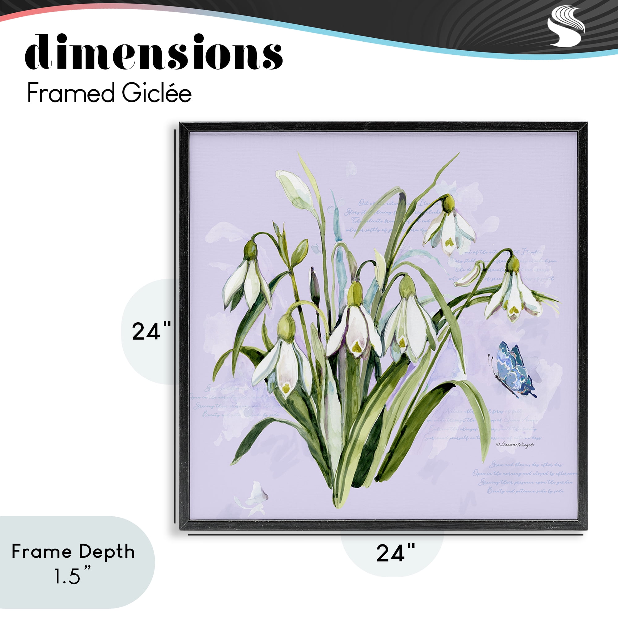 Stupell Industries Snowdrops with Vintage Writings Black Framed Giclee Art, design by Susan Winget