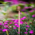 thumbnail image 6 of Hariumiu Electroculture Plant Stake Set 6pcs/set 12-inch Electroculture Plant Stake Wood Rod Garden Plants Vegetables Growing Electro Culture Wire Coil Antenna, 6 of 8