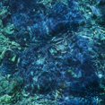 thumbnail image 1 of Álbum Zach Top Luminescent Creatures Nuevo, 1 of 1