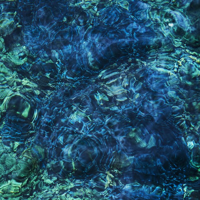 Álbum Zach Top Luminescent Creatures Nuevo
