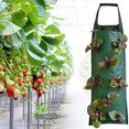 thumbnail image 4 of Bolsas de cultivo Colgando Fresa Tomate Interior Exterior Cultivo vertical Verduras Hierbas Flores MFZFUKR CPB-US-DYP22-2, 4 of 5