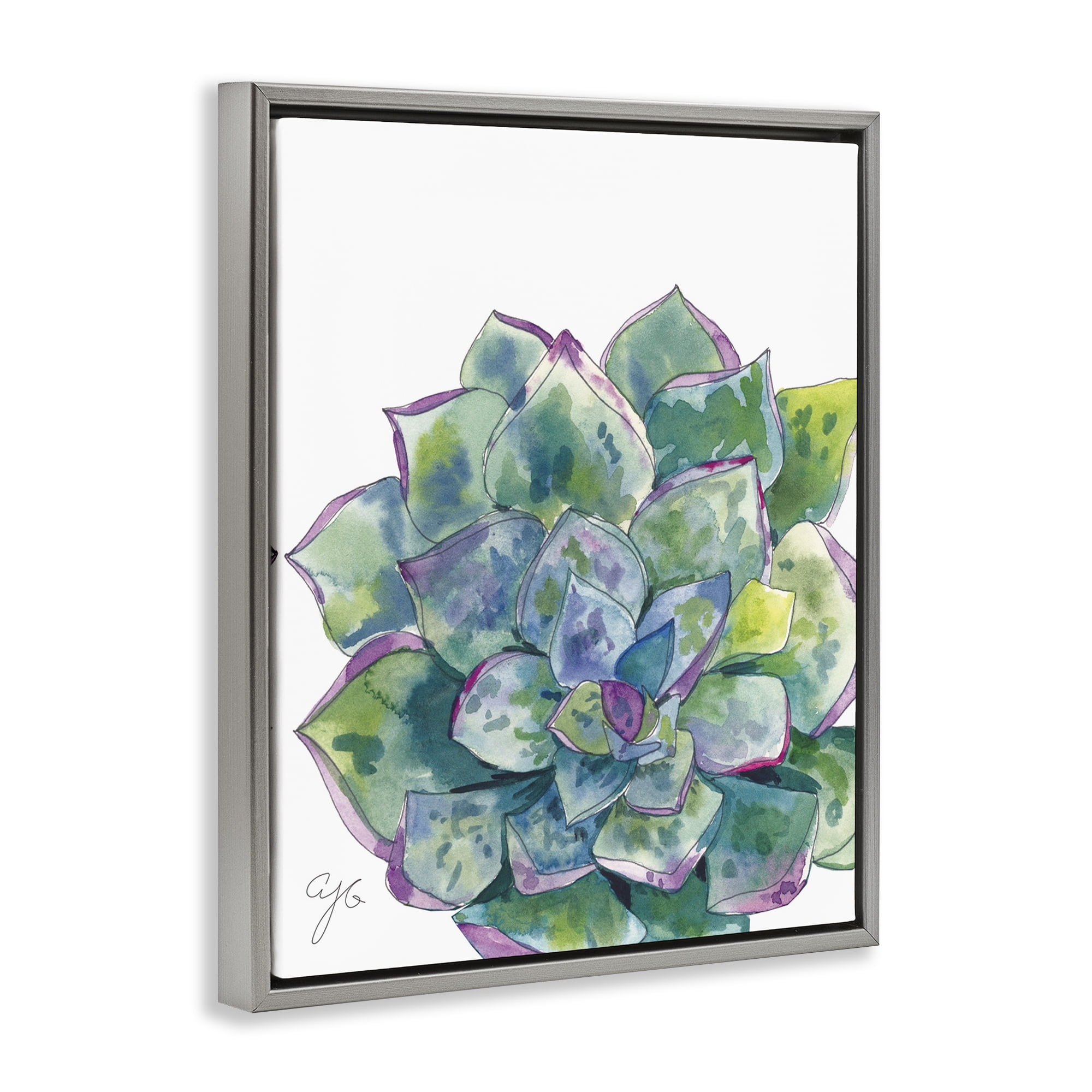 Stupell Industries Abstract Succulent Watercolor Botanical & Floral Painting Gray Floater Framed Art Print Wall Art, 17 x 21