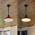 thumbnail image 6 of JONATHAN Y Jasper 12.25" 1-Light Farmhouse Industrial Indoor/Outdoor Iron LED Pendant, Red, 6 of 6