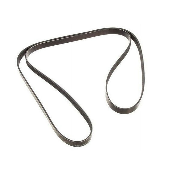 Multi Rib Belt - Compatible with 1997 - 2008 Ford Ranger 1998 1999 2000 2001 2002 2003 2004 2005 2006 2007