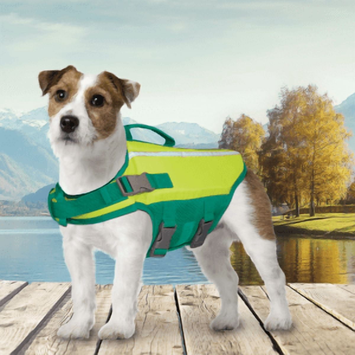 Vibrant Life Flotation Vest for Dogs, with Handle, Yellow, Small