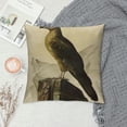 thumbnail image 2 of Orinice Bird Rock Graphic Decorative Cotton Linen Pillow Cover 1PC for Home Couch Living Room Bed Sofa 24x24in, 2 of 5