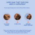 thumbnail image 5 of Coco and Luna Eye Support for Dogs - Supplements for Vision - 90 Soft Chews, 5 of 9