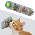 thumbnail image 4 of Catnip Ball for Cats, 4 Flavors Cat Nip Interactive Self-Play Toy,Cats Catnip Lick Balls,Stick in Indoor Walls Natural Dental Cleaning Toy for Healthy Playtime (4 Flavors)(1pc),Blue, 4 of 6