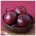 thumbnail image 5 of Everwilde Farms - 500 Red Burgundy Onion Seeds - Gold Vault Jumbo Bulk Seed Packet, 5 of 5