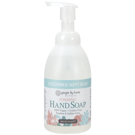 Ginger Lily Farms Botanicals All-Purpose Foaming Hand Soap Refill, 100% Vegan & Cruelty-Free, Cucumber Mint Bliss Scent, 20 Fl Oz (Pack of 1)
