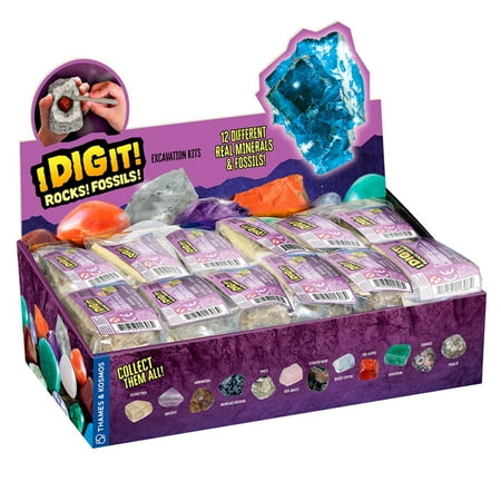 Thames & Kosmos I Dig It! Rocks & Fossils - 24 Mini Excavation Kit Gift Set
