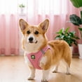 thumbnail image 6 of Breathable Mesh Step-In Dog Harness Vest Reflective Lightweight Polyester Pet Walking Gear with D-Ring for Small Medium Puppies Cats Daily Outdoor Walks(Pink-S-31cm), 6 of 6
