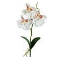 thumbnail image 2 of RotHome Real Touch Phalaenopsis Artificial Orchid Stem Bouquets, Elegant Faux White Flowers for Tall Vase, Silk Floral Decor for Wedding and Party, 1 Pack, 2 of 4