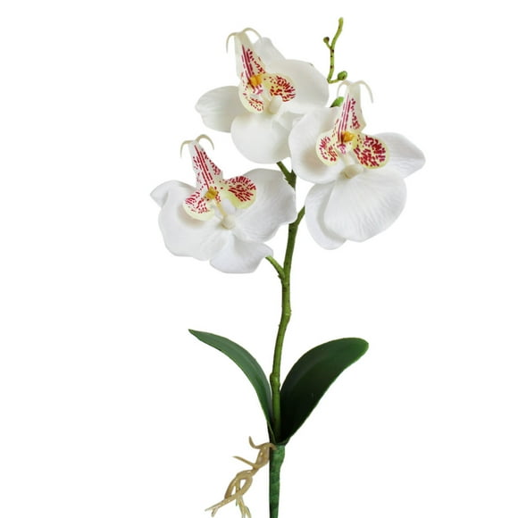 Wamans 1 Pcs Orchidées Artificielles Orchidée Artificielle Phalaenopsis Fleurs en Soie Fausses Orchidées Fausses Orchidées Fleurs Têtes d'Orchidée Papillon Fleurs pour Bricolage Décoration de Mariage Orchidée Bouquet de Mariée