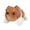 Brown, variant on SPOORYYO Shar Pei Plush Pillow Cute Dog Toy for Holidays and Festivals