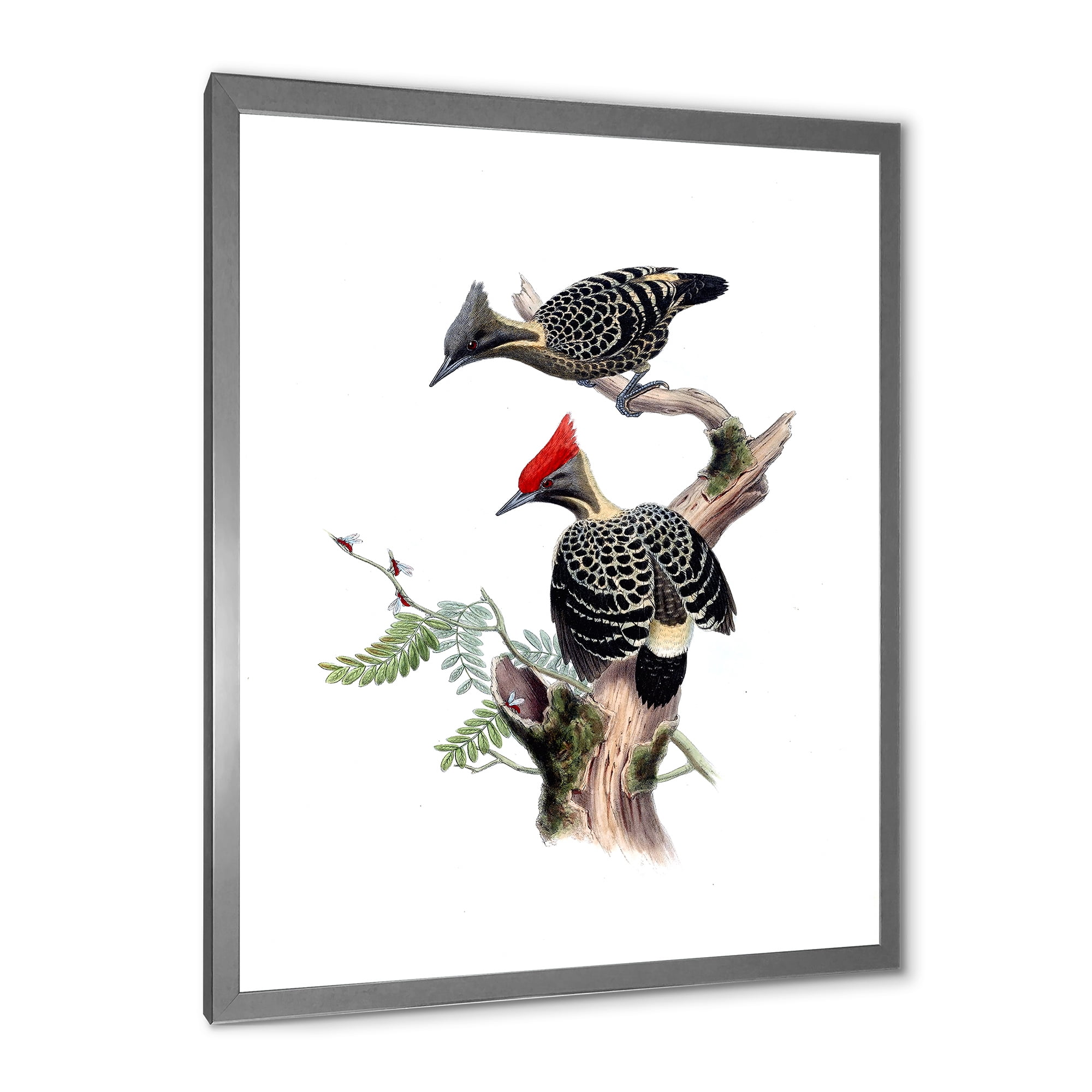 Designart 'Ancient Birds In The Wild VI' Traditional Framed Art Print