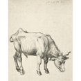 thumbnail image 2 of Albrecht Dürer 12x14 Black Ornate Wood Framed Double Matted Museum Art Print Titled: Young Bull (C. 1496), 2 of 5