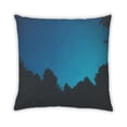 thumbnail image 2 of Ahgly Company State South Carolina Outdoor Throw Pillow, 18 inch by 18 inch, 2 of 6