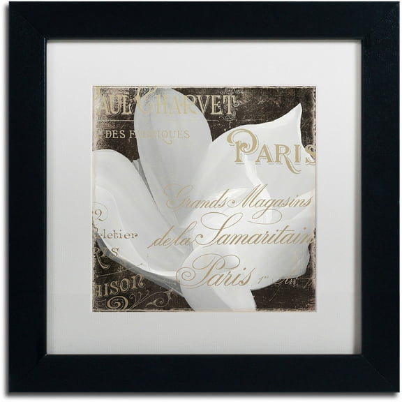 Trademark Fine Art "Fleurs Blanc II" Canvas Art by Color Bakery White Matte, Black Frame