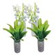 thumbnail image 5 of FUTUREORYY 4Ud Maceta Con Planta Campanilla Ideal Para Adorno Y, 5 of 8
