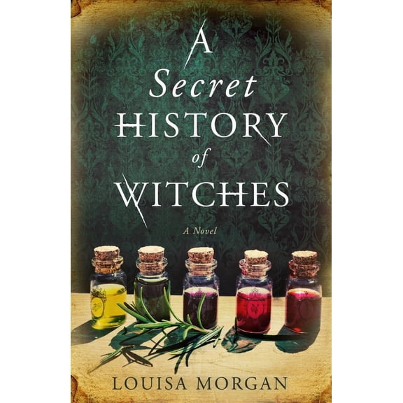 A Secret History of Witches by Louisa Morgan (Paperback)