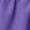 Purple, variant on Womens High Waisted Running Shorts Quick Dry Athletic Workout Shorts With Mesh Liner Zipper Pockets Loose Fit