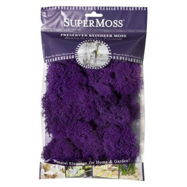 Super Moss 25124 Mousse de Renne Violette